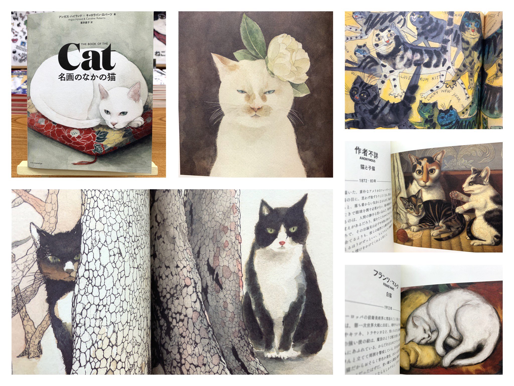 猫本専門 神保町にゃんこ堂 姉川書店 入荷 完売を繰り返す人気の 猫画集 が再入荷 名画のなかの猫 1980円 猫に魅了されたアーティスト ウォーホル ゴヤ ホックニー 国芳 ダ ヴィンチ だけでなく 作者不明の良質な作品も紹介 静かで