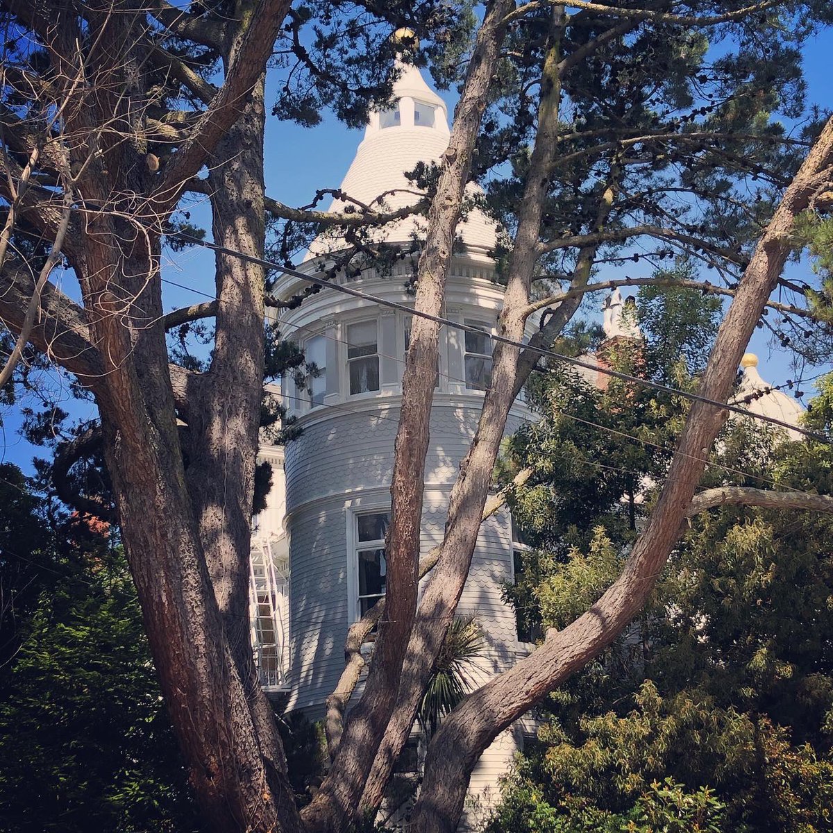 shivaunsay's tweet image. Built in 1892, Nobby Clarke’s Folly was featured on our 2009 House Tour. We were lucky to have one of the turret apartments open to our group. #victorianalliance #eurekavalleyvictorians #sfarchitecture #sfvictorians #victorianhouse #ineedaturret