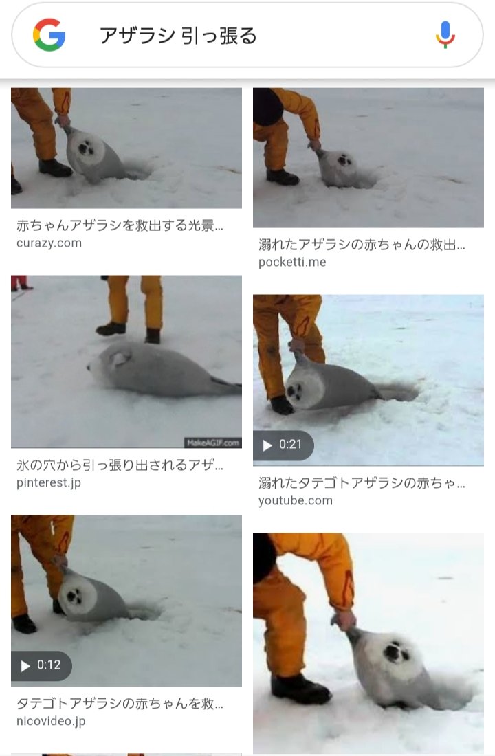 あいむら Twitter પર 兄者 起きてくれ あいむら Twitter પર 兄者 起きてくれ