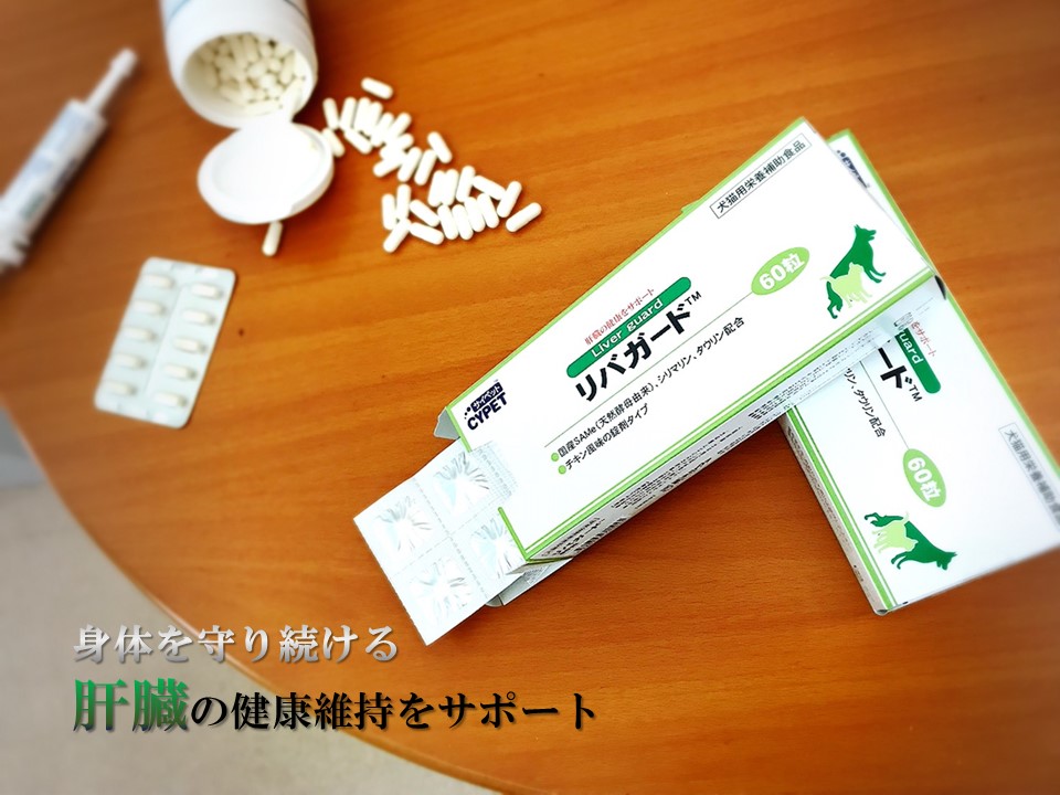 Minervacorp Ltd 犬猫用サプリメント紹介 肝臓の健康維持をサポート リバガード 肝臓の機能を維持するための栄養成分であるsame含有酵母 マリアアザミ タウリンを配合 肝臓の機能維持 肝臓に負担がかかる場合や肝疾患時にお勧めです
