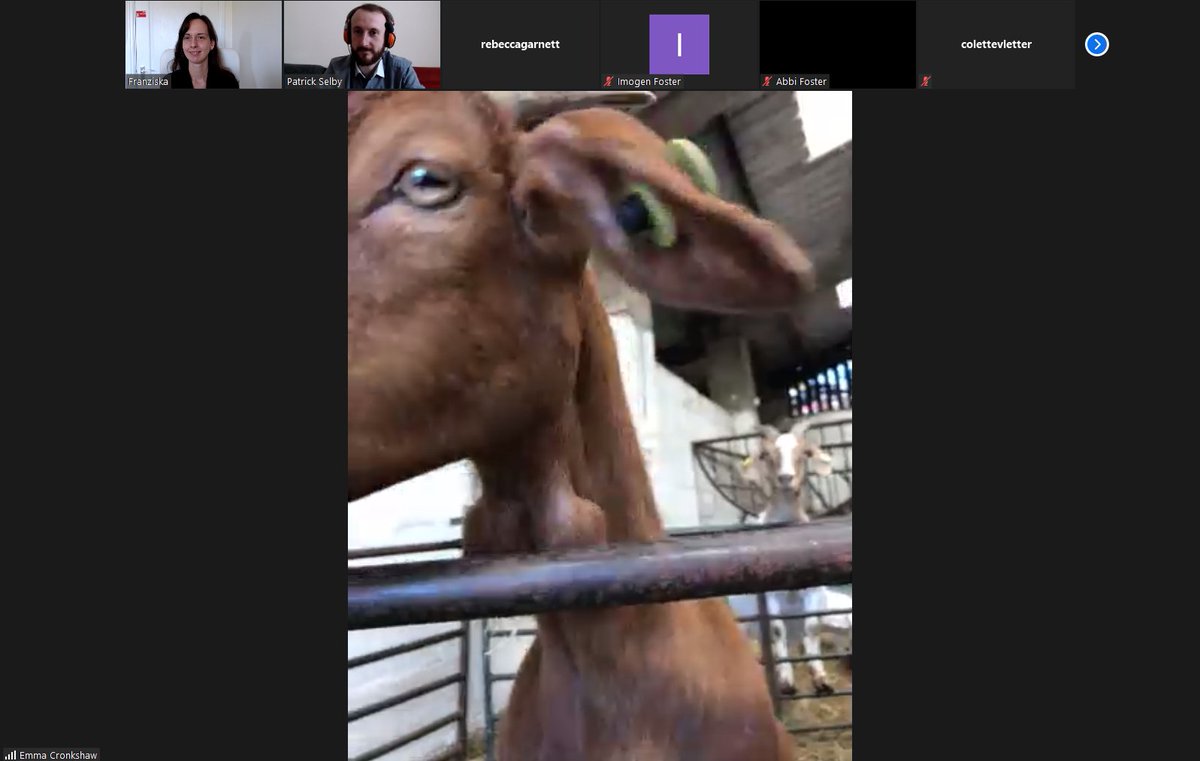 Our MBE coordinators have taken students, who are slightly stressed over their dissertations, on a fun virtual tour of <a href="/CronkshawFold/">Cronkshaw Fold Farm</a> Farm <a href="/CambridgeMBE/">MPhil in Bioscience Enterprise (MBE)</a> 
#GOATSONZOOM #MentalHealthAwarenessWeek2020
