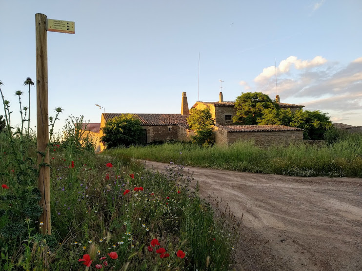 Turisme La Segarra tweet media