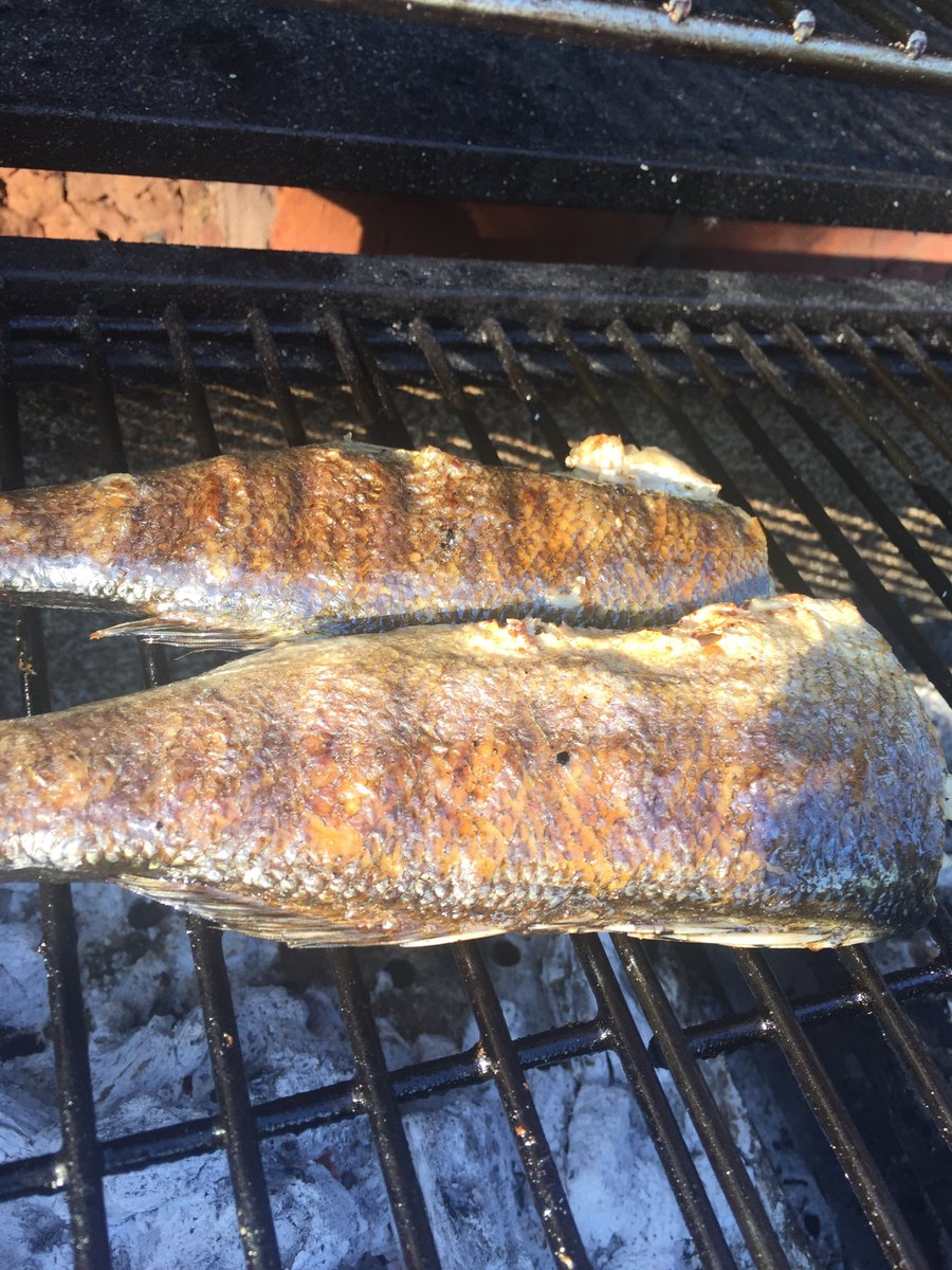 EssentiallyWild's tweet photo. Some seasoning fusion BBQing last night thanks to the @essentialcuisin Street Food Chef range (available through @HBIngredients) - Satay Seabass, Bombay potatoes, Thai salad and teriyaki salmon #ECBBQ https://t.co/pQCIOk2oar