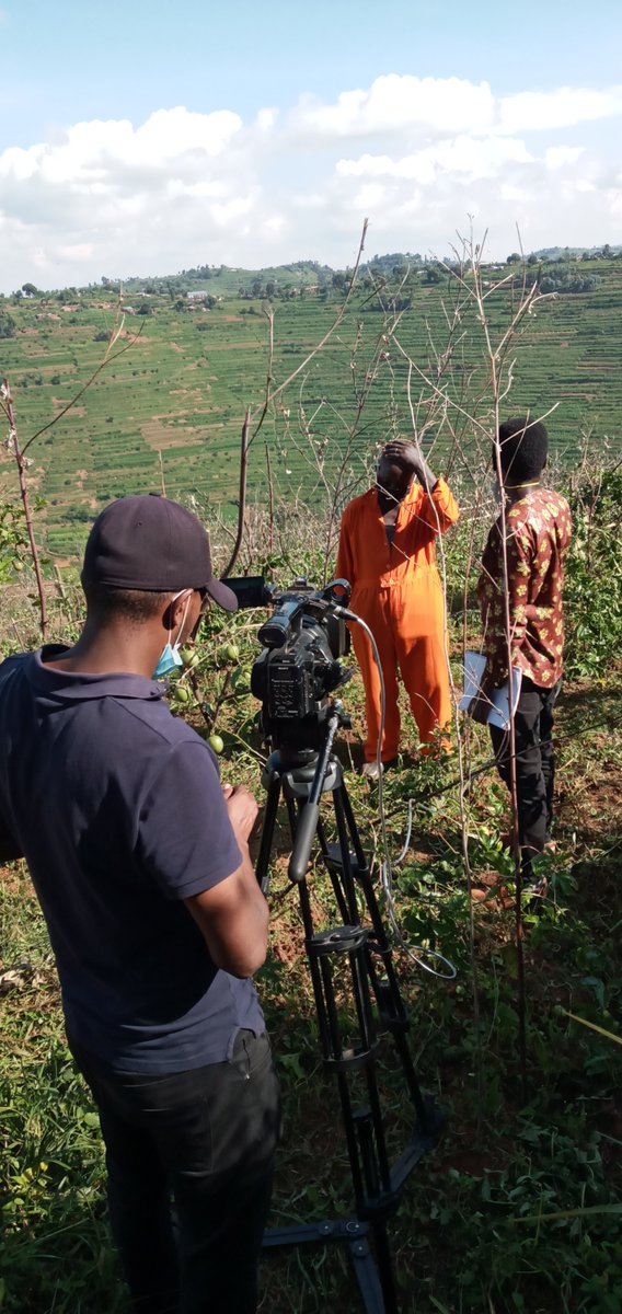 MusanzeRadio's tweet photo. Kalisa Evariste, umuhinzi w'amatunda mu murenge wa #Bungwe @BureraDistrict ahamya ko yiteje imbere abikesha ubu buhinzi. Byibura ku mwaka bumuha miliyoni 4 @RwandaAgri @rbarwanda @Radiorwanda_RBA https://t.co/7KtdCS4efJ