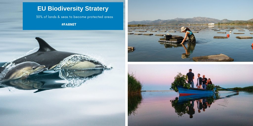 Today is #Natura2000Day! An opportunity to celebrate those making sure that our amazing marine life🦭🐬🐢🦈 can thrive👏.

🆕#EUBiodiversity strategy aims for 30% of lands & seas to become protected areas💪!

More👉bit.ly/EUBiodiversity…