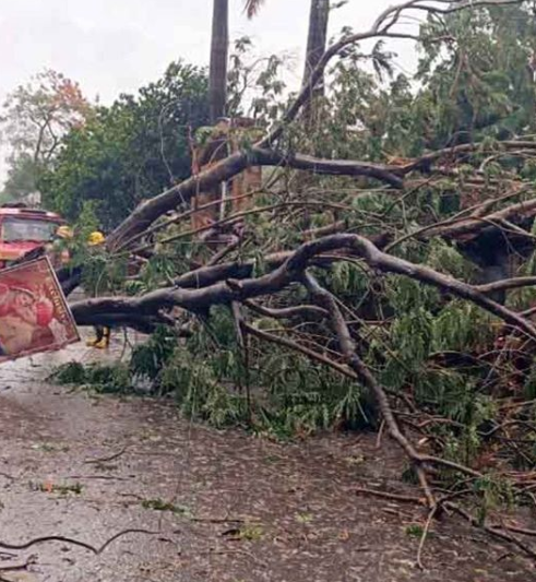 bstvlive's tweet image. #CycloneAmphanUpdate 

#CycloneAmphan:- चक्रवाती तूफान उम्पुन ने पश्चिम बंगाल और ओडिशा में भारी तबाही मचाई। #WestBengal #Odisha