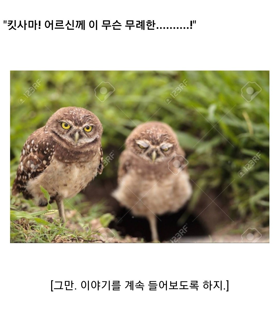 utzzal1's tweet photo. 이런 라노벨말투 전개 좋아함 https://t.co/AkzywVrIh8