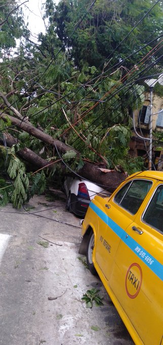 View image on Twitter