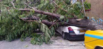 View image on Twitter