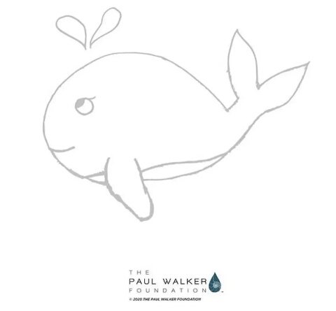 PaulWalkerFoun2's tweet photo. support@roww.net https://t.co/GJ4EYunazP