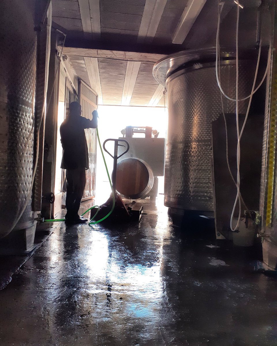 CellerFrisach's tweet photo. FriSaCH VeRNaTXa 2019!!! Avui hem tret lo vi dels Carratells, lo TreBall no para ni al celler ni a les vinyes! #TerritoriVernatxa #iNstintPrimaRi #OrgaNicFarminG #orgullpagés #LoViDeCorBerA #NaturalmentVi #winelovers🍷 #wineadict #Nature https://t.co/Pf0Dxa4av6