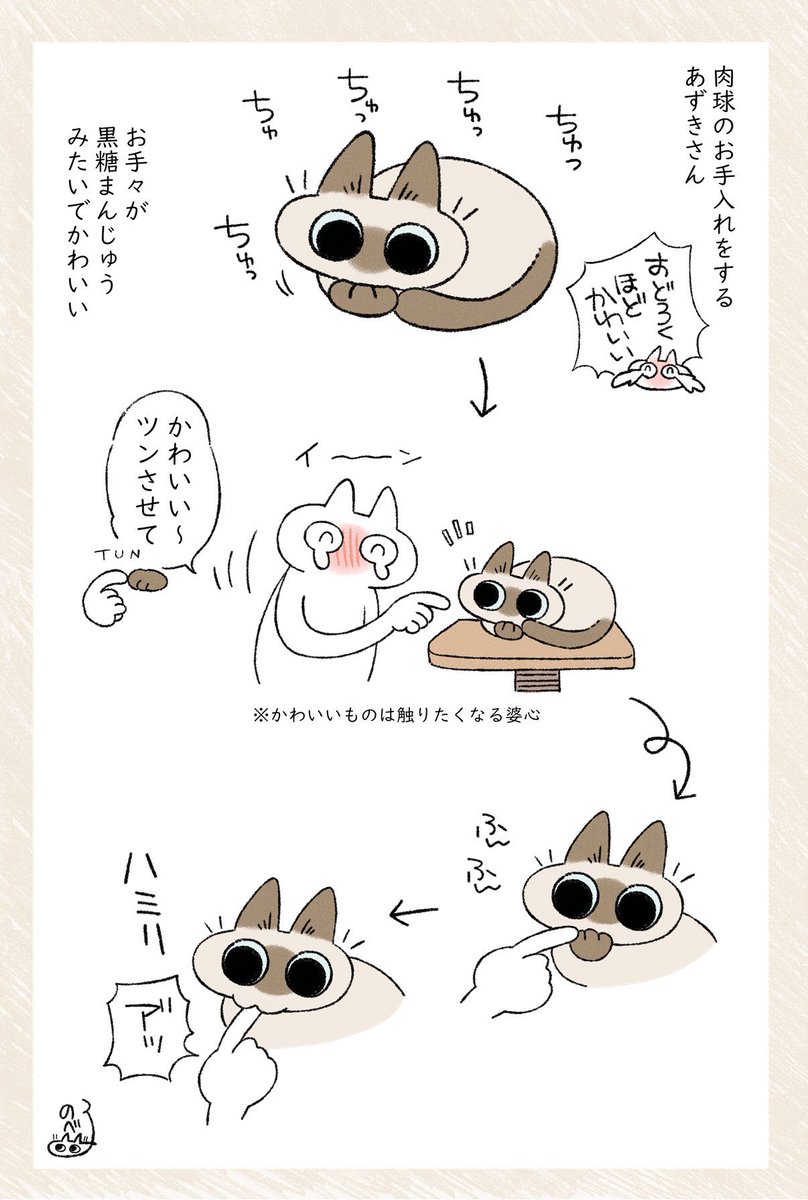 おまんじゅうツンしちゃおうね #シャム猫あずきさんは世界の中心 