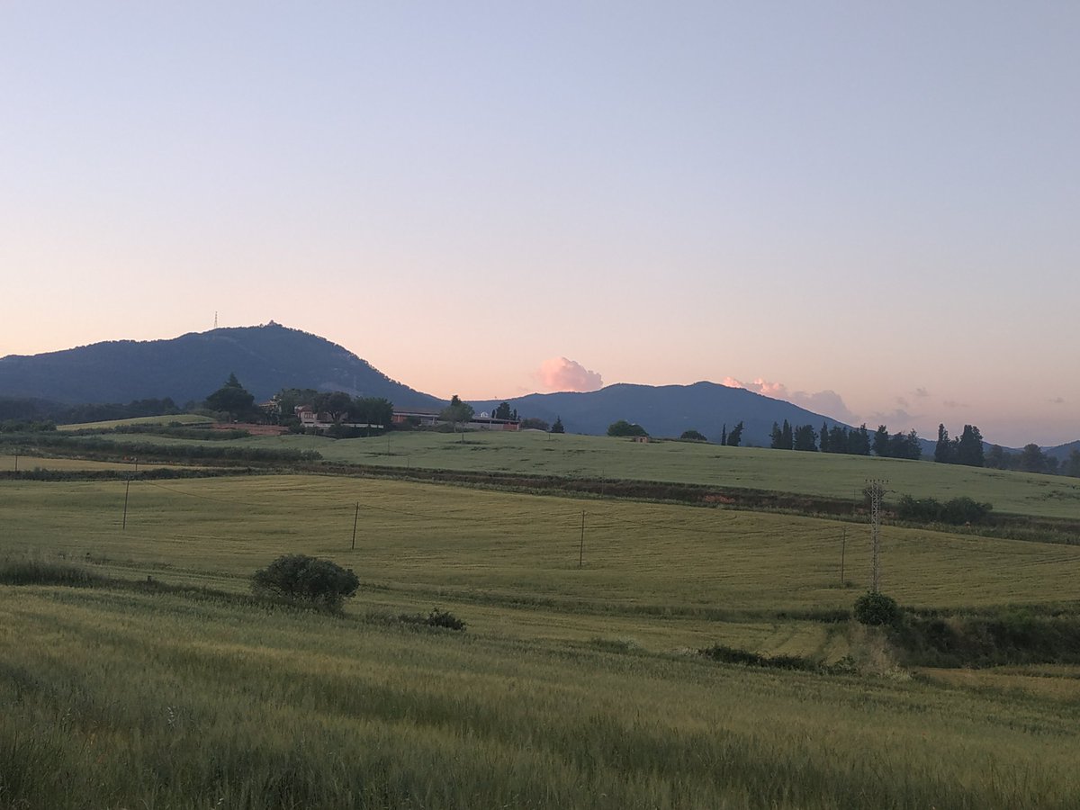 DariaCuki's tweet photo. Preciosas vistas de las tardes 😄 https://t.co/bShOjotbF0