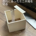 ネコにコップを倒されないようにミニ木箱を作成!？実際に使ってみた結果!