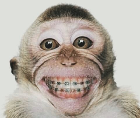 BADAK23 あ EKSPANSI EKONOMI DIGITAL DALAM ORBIT HIBURAN INTERAKTIF BADAK23