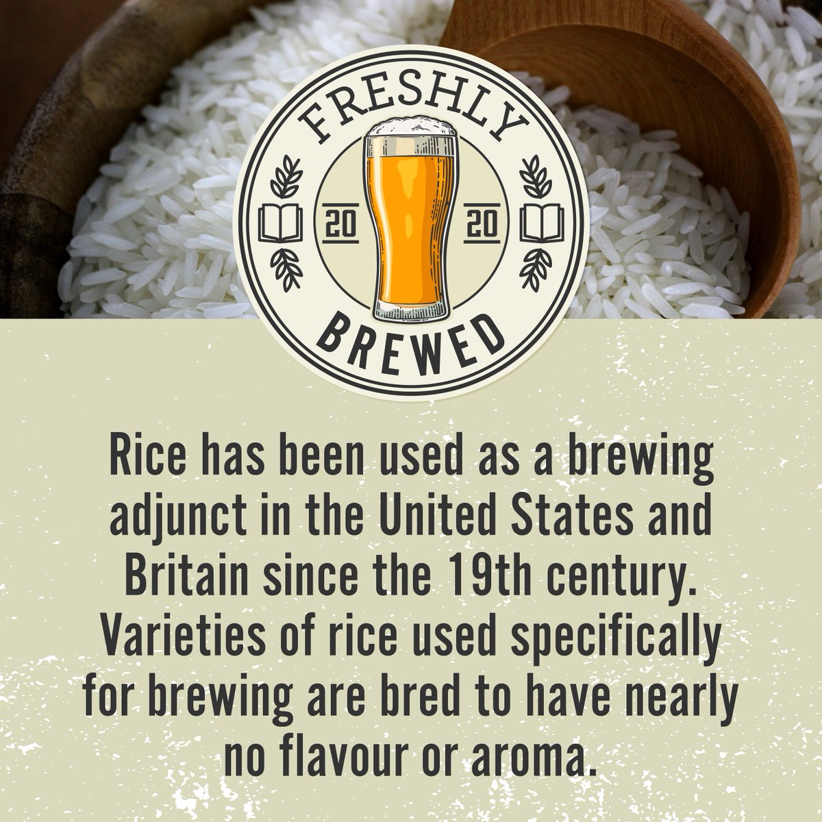 Rice! Great in sushi, curries and lots of other food. But, in our opinion, always best in beer 😉🍺