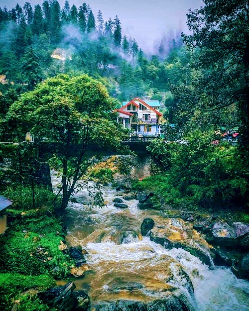 tripnxt's tweet photo. A bloom-shower destination. Himachal Pradesh, India
Book your unique tour: https://t.co/IX0W7zl4S2
#chailover #storiesofindia #winterseason #jammuandkashmir #jantacurfew #himalayas #travelrealindia #himachalpradesh #northeastindia #heritage #stayhome #staysafe #tripnxt #india https://t.co/osZ3fuM66n