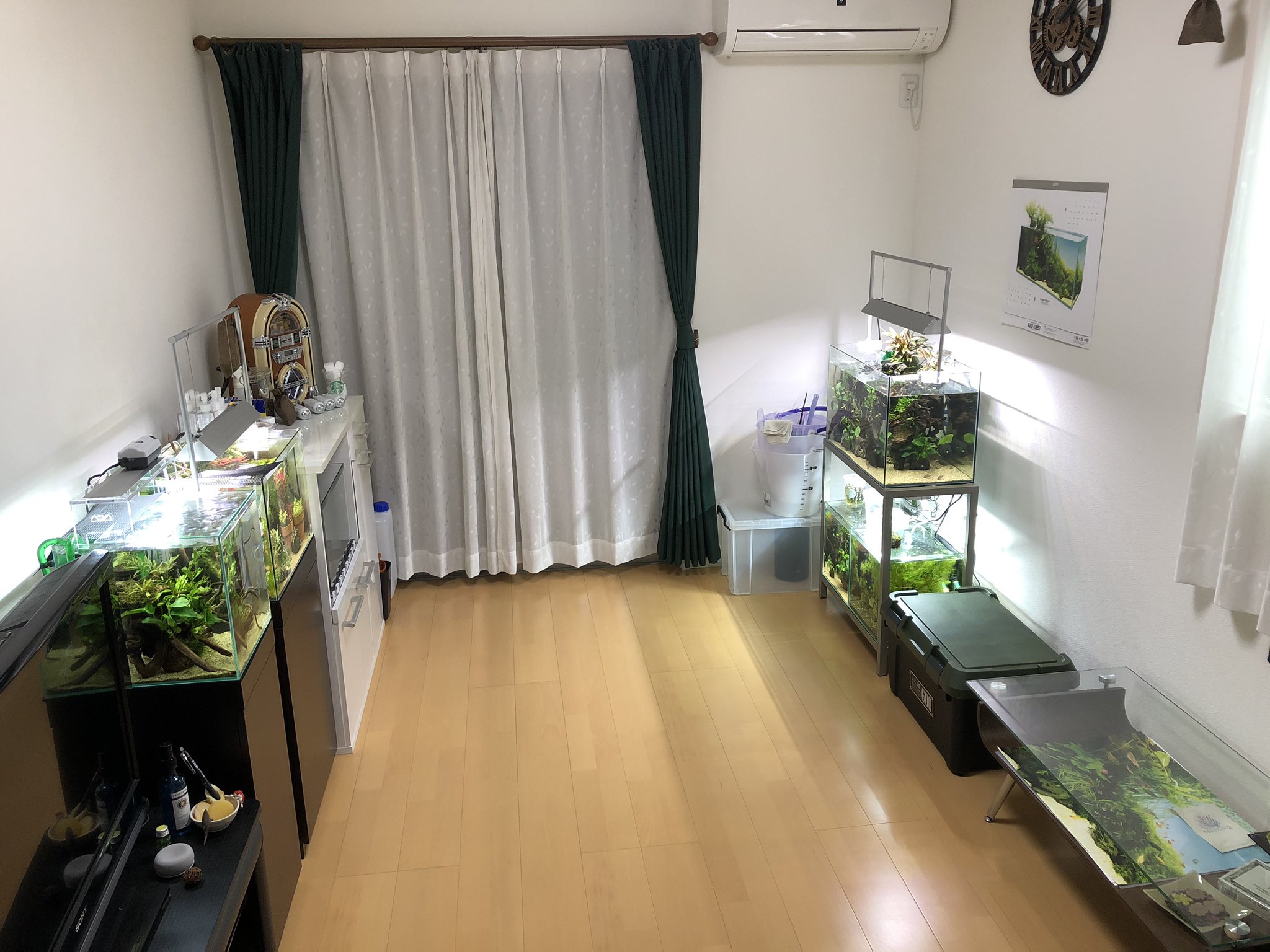 たらこバター 暇なんで自室の水槽の水換えと部屋を片付けした 基本床掃除は毎日してますよ よくやらかすのでね へこみ 知らん 見てない見えない見たくない 3m おしゃれな部屋で暮らしたい 水槽のある暮らし お昼ご飯どうした T Co