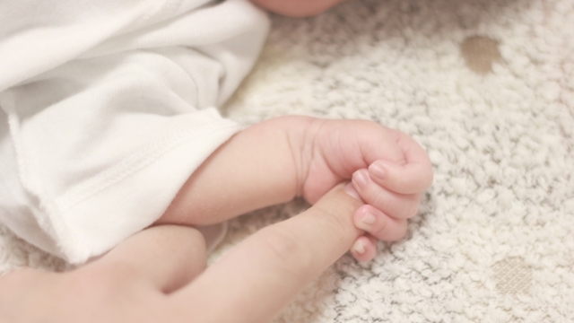 赤ちゃんガーゼ Twitter Search Twitter