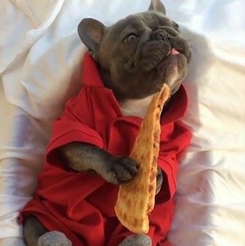 ᴄʜʟᴏᴇ ʙᴇɴɴᴇᴛ ᴀs ᴄᴜᴛᴇ ᴀɴɪᴍᴀʟs;; ᴀ ᴛʜʀᴇᴀᴅ