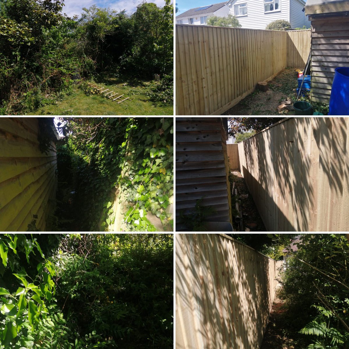 TrentwoodLtd's tweet photo. Before & after, 1.8m close board fencing, Abingdon, Oxfordshire.
https://t.co/2MIATiA92S #fencing #gates #oxfordshire #trentwoodltd #postsaver #fsctimber #oxfordfencing #checkatrade #buywithconfidence https://t.co/pHERz2yzCF