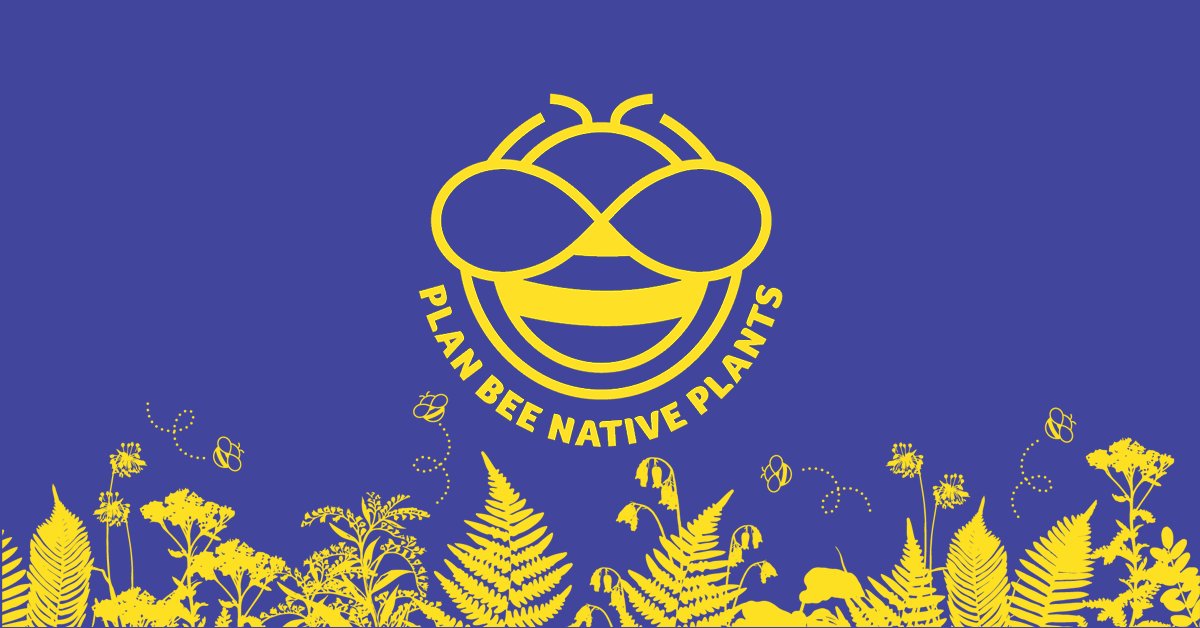 Happy world bee day!  Thought this would be the perfect day to announce the launch of my business.  We currently have over 30 species of native plants for sale. Let's save the bees!!!!