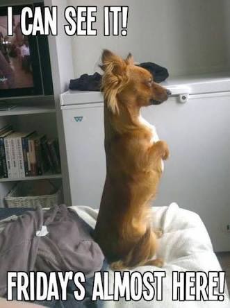 Some #ThursdayMotivation tweeps <a href="/MarikeKotze/">Marike Kotzé</a> <a href="/WilfullyMe/">Just me ♥</a> <a href="/LadySayFuckALot/">Pablo Memescobar 🐈</a> <a href="/Monique_PR_/">Monique van der KZN 🇿🇦</a> <a href="/LadyLepurrrd/">LadyLepurrrd (Commentary) 🐾🐾</a> <a href="/Beachbabynorth/">Terryll Jordaan</a> <a href="/samantha_freese/">SamSugar</a> <a href="/DaveStarley/">Dave Starley</a> and <a href="/illyancloete/">Illyan</a>