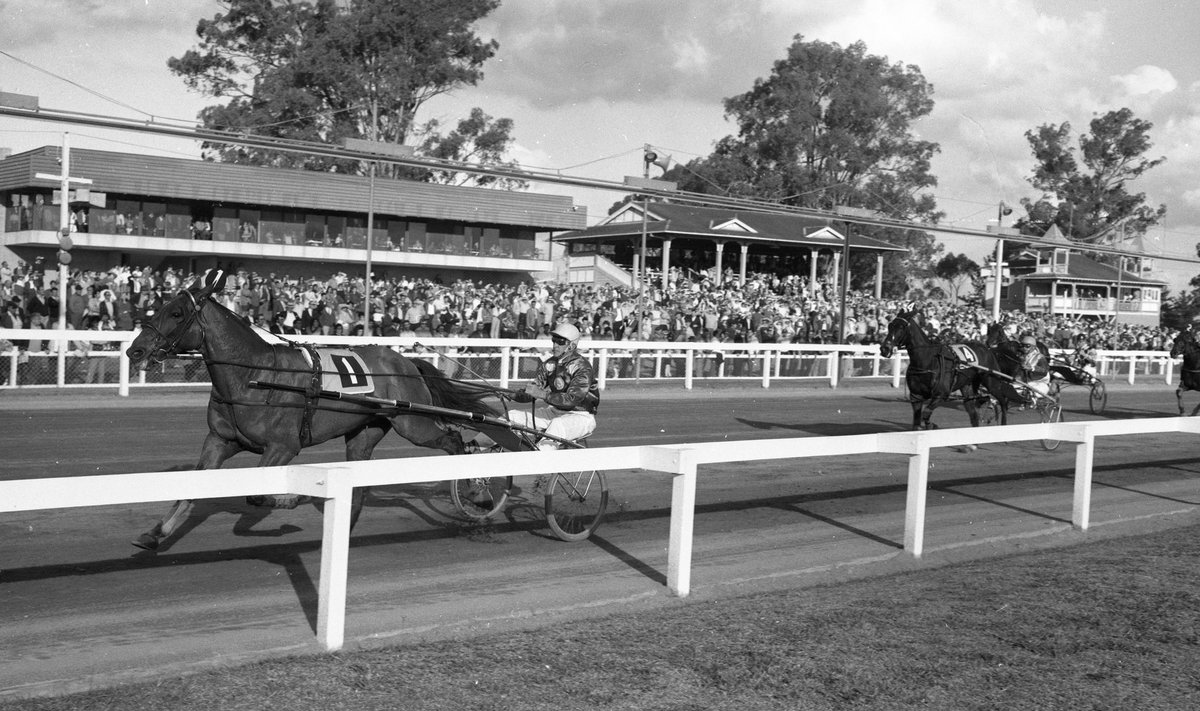 ClubMenangle's tweet photo. For today’s 𝐓𝐡𝐫𝐨𝐰𝐛𝐚𝐜𝐤 𝐓𝐡𝐮𝐫𝐬𝐝𝐚𝐲 we head back to 1972.

Our photo shows classy open class pacer, Celevale Van...

Full post 📲 https://t.co/7hHhm8Sux4

#HarnessRacing #Trots #History #MenanglePark https://t.co/R3yQGJ3kbN