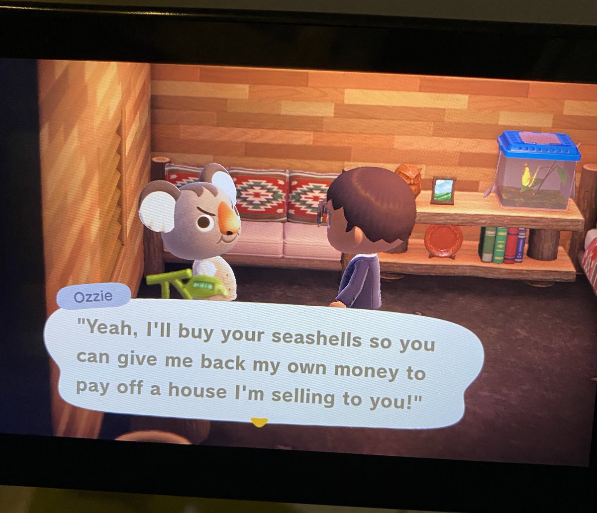 shivam_nerd's tweet image. Ozzie calling out all the absurdity of #AnimalCrossing and #TomNook before saying “Psych, you’re pranked” (something like that). This game is wild ya’all. I’ll have what the developers of this game are having.