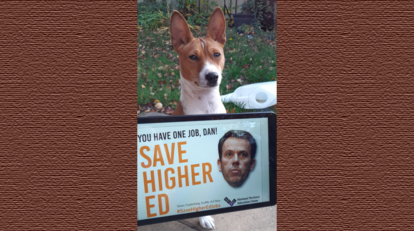 BasenjiCleo's tweet photo. Day 55 of home isolation. I'm looking at you @DanTehanWannon. I want two things - a plan to #SaveHigherEdJobs and treats. I will settle for a plan to start with though. Look after my pack. #WheresThePlanDan? @NTEUNational https://t.co/KmoZUDy0ep