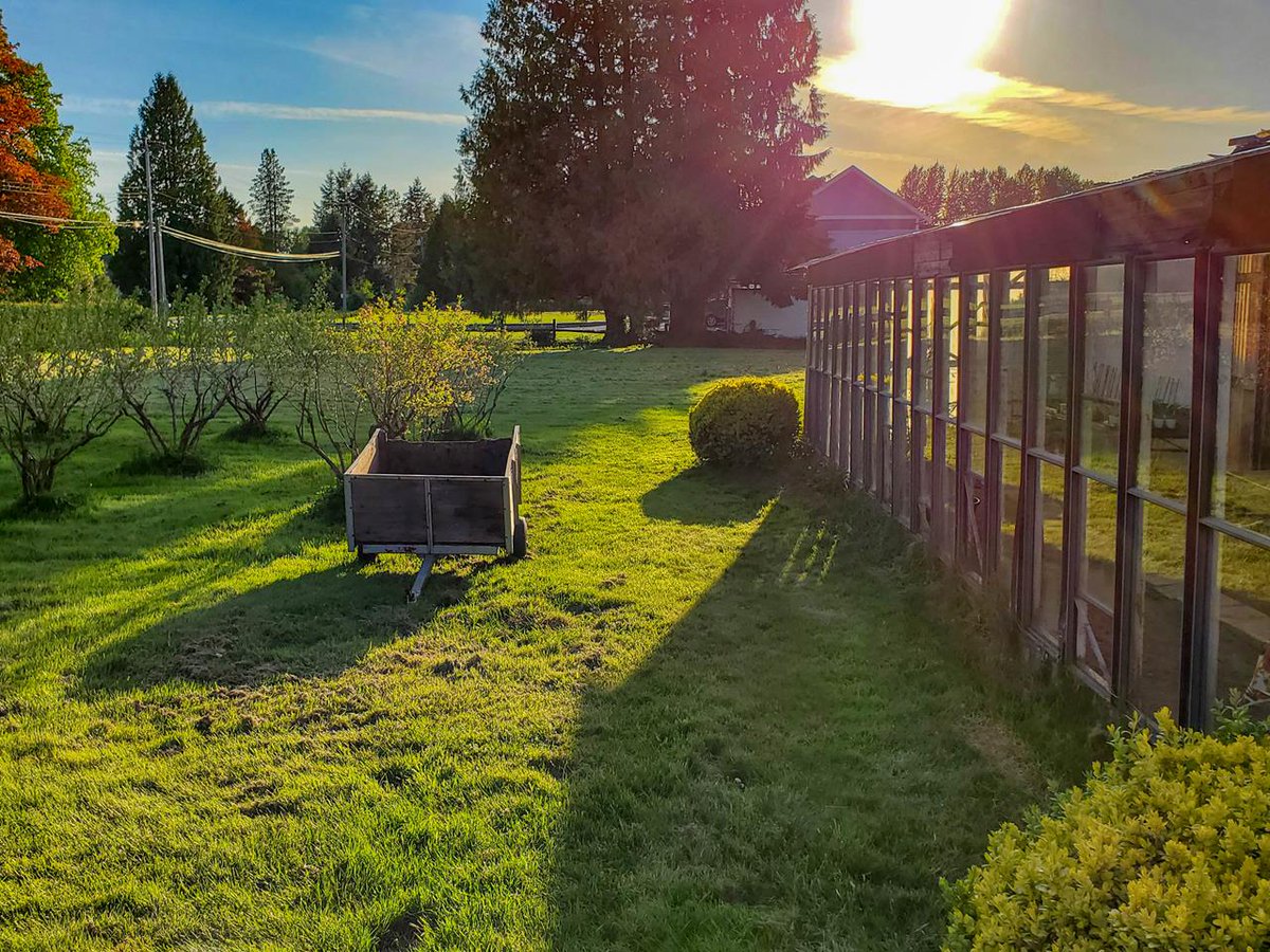 With a mission to save our native bees, PlanBee Native Plants is a company that’s dedicated to creating a community of pollinator guardians. You can buy BC Native Plants that support the Native Bees and wildlife. Open by appointment only :)