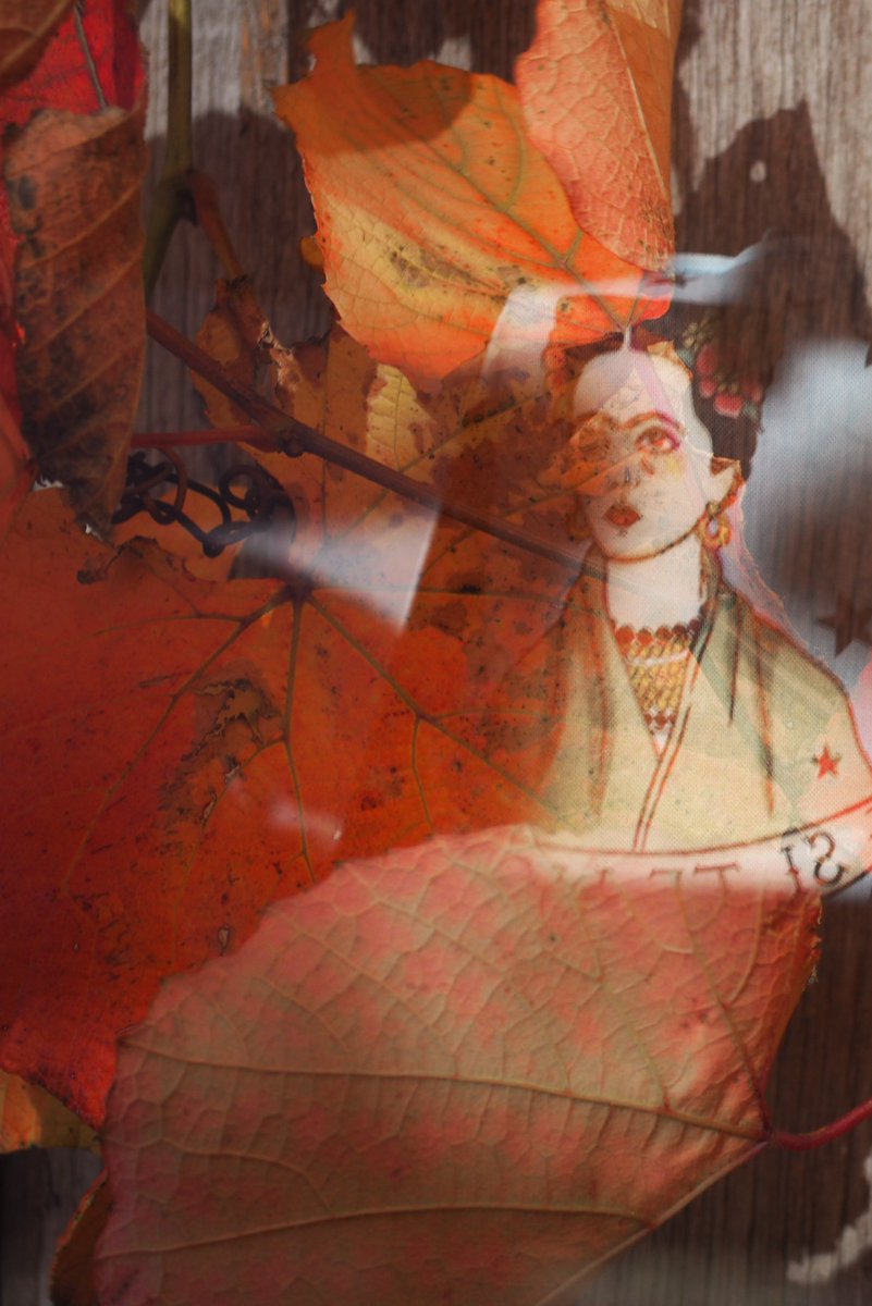 thetimeiswrite's tweet image. #autumnreflections