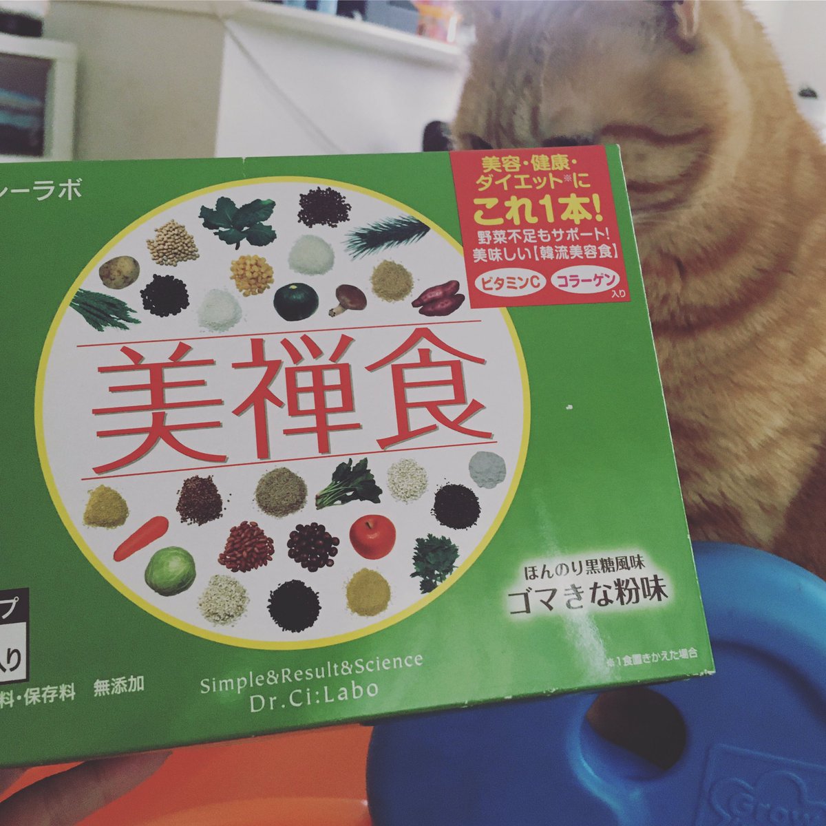 美禅食 Twitter Search