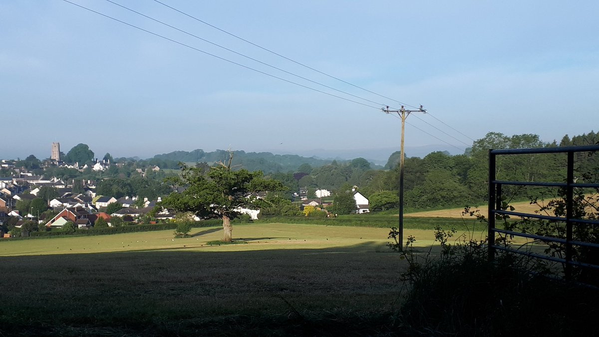 Lynne Andrews tweet media