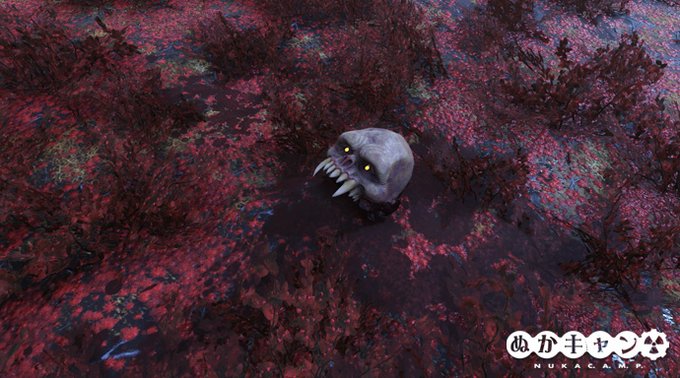 ぬか キャン fallout76