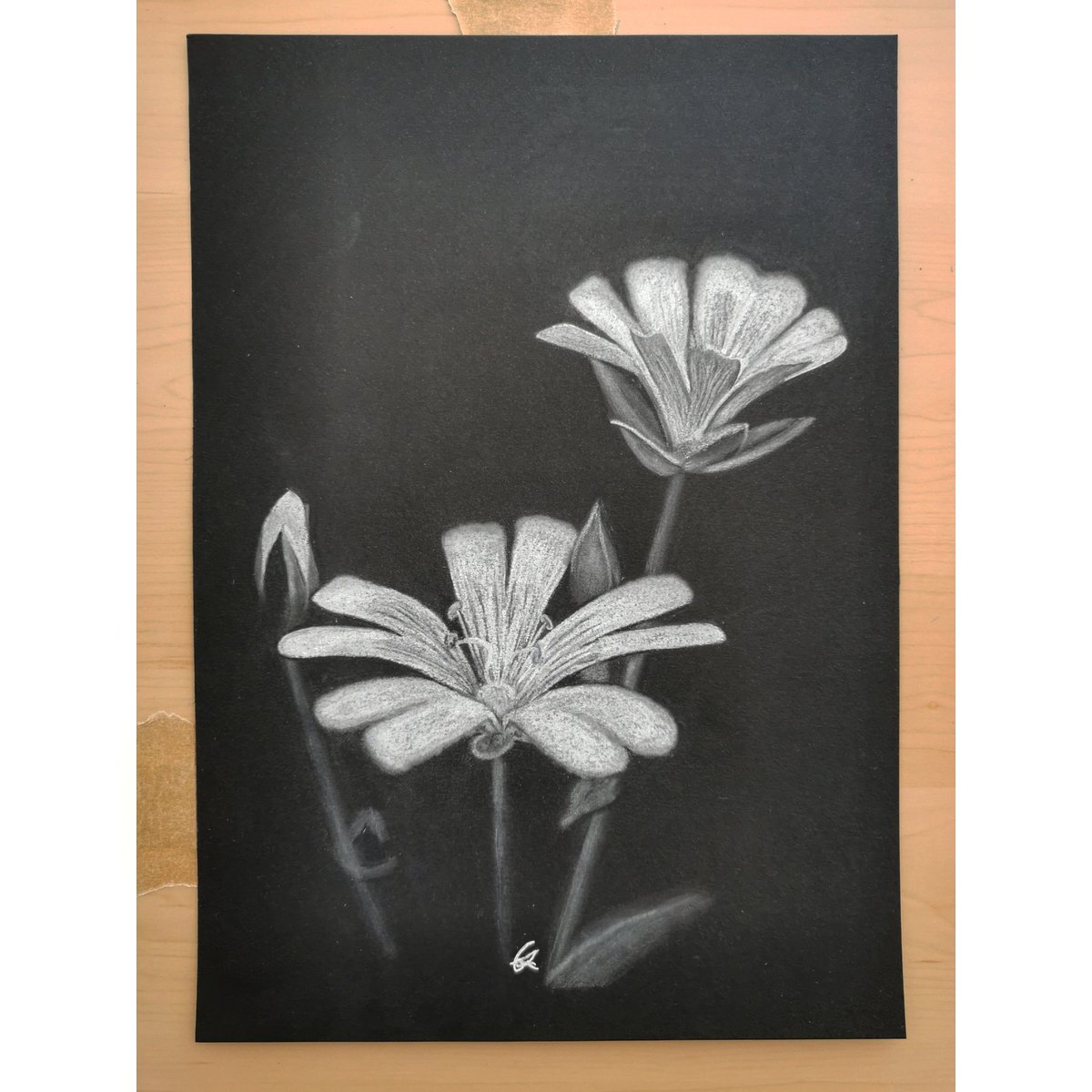 A challenge I set myself with the votes of others. This black paper drawing usual white pastel and charcoal. I'm not 100% happy with it as I forgot how to use the medium 😂 I might be doing another with white pen to get crisper lines in the focus points.
#tbt #thursdaythoughts