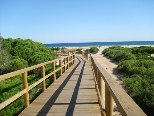 Democr_Alacant's tweet photo. Pedimos a @alicanteayto y @luisbarcala repiensen el diseño del paseo a Urbanova. Es anodino y rompe con el entorno. Le pedimos coordinación con @ajuntamentelx para armonizar la fachada marítima.

#alacant #alicante #urbanisme #sostenibilitat https://t.co/lmb50wX9Ow
