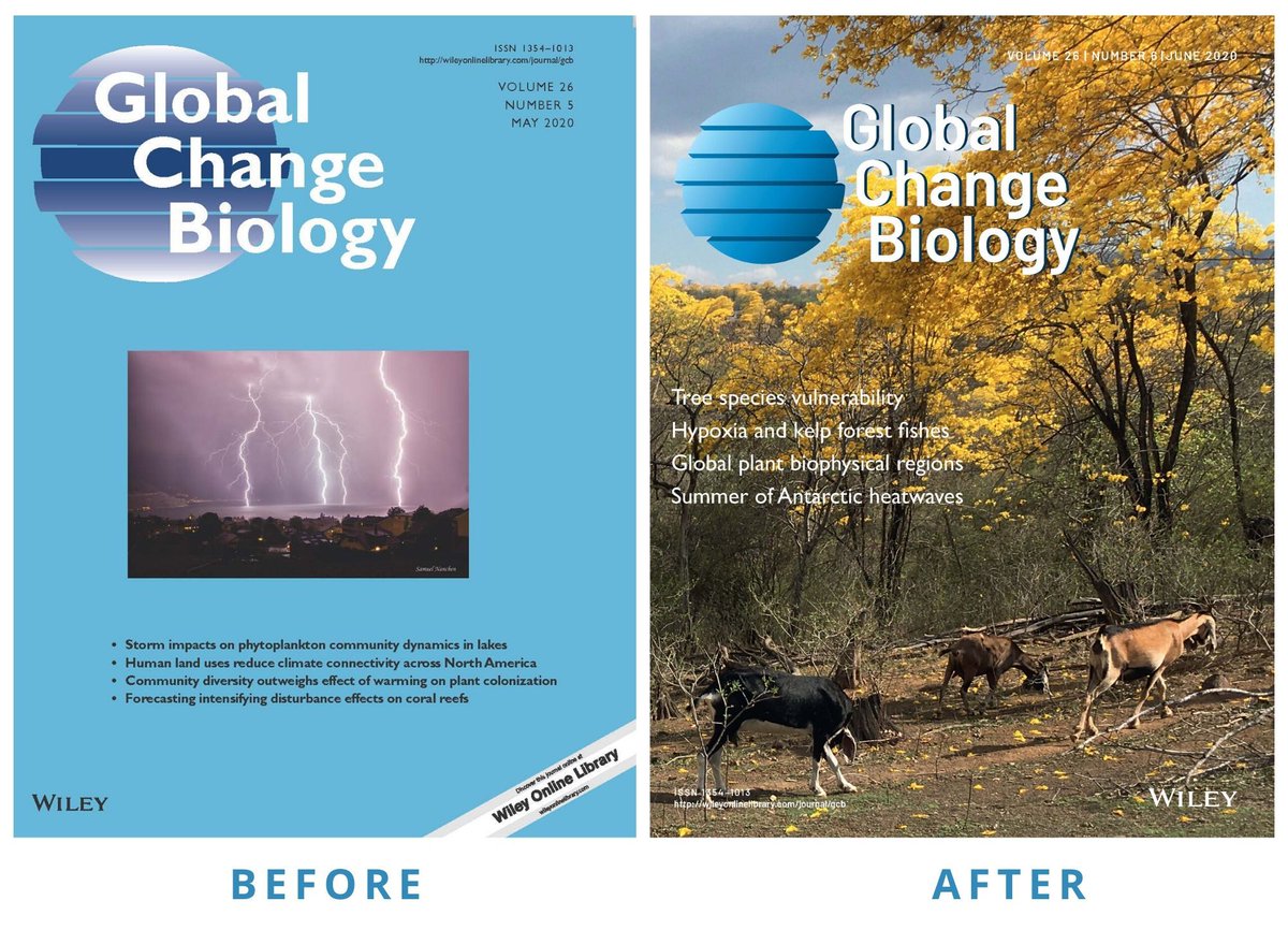 Global Change Biology tweet media