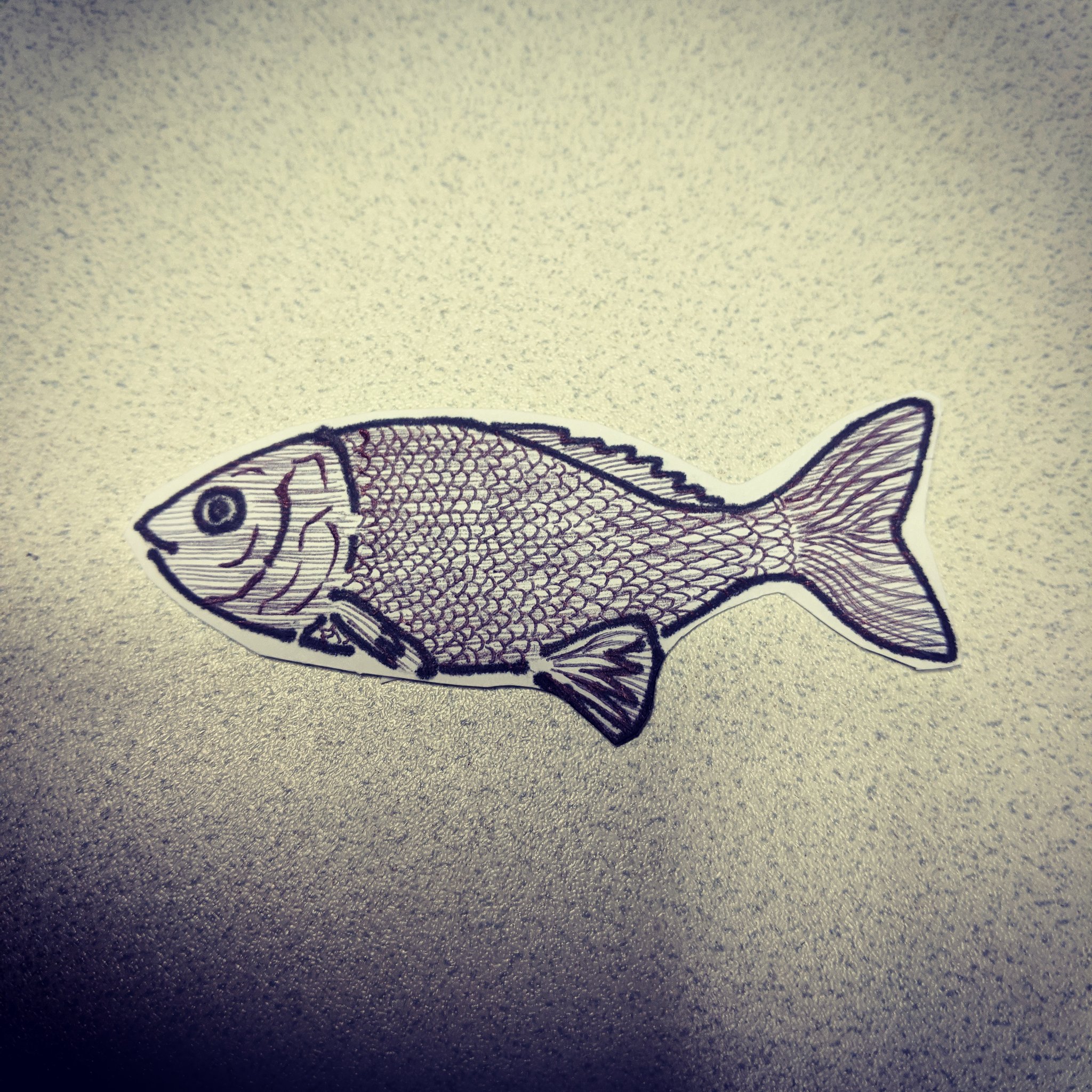 三上 カワウソ 前に描いた 魚のイラストです ᴗ イラスト 絵 落書き リアル 魚 ボールペンイラスト ボールペン画 モノクロ 白黒絵 白黒イラスト T Co 0oxelzqgov Twitter