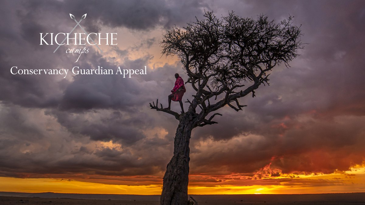 ecotourismkenya's tweet photo. Ever thought of becoming a Conservancy Guardian?Kenya’s Community Conservancies are a sustainable model of wildlife conservation.

@KichecheCamps launched the Conservancy Guardian Appeal during this unprecedented times.

Find out how you can help - https://t.co/R3tpvzKlWp
#covid https://t.co/rdxiAPFOnI
