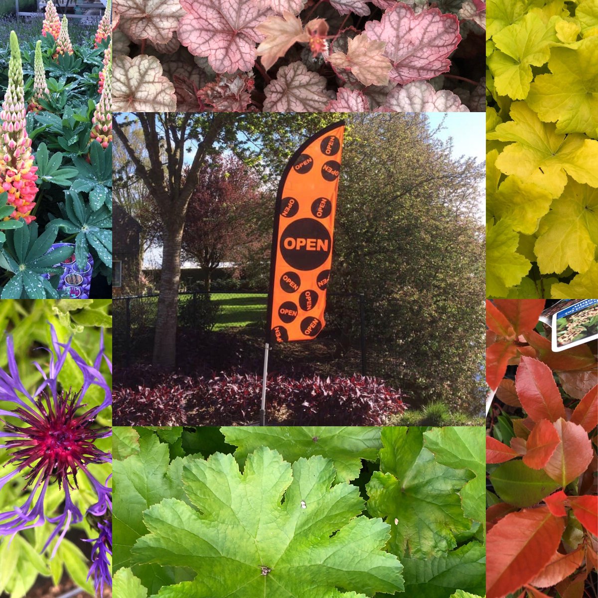 Vandaag Hemelvaartsdag zijn wij open van 9.00 - 17.00 uur. ☀️