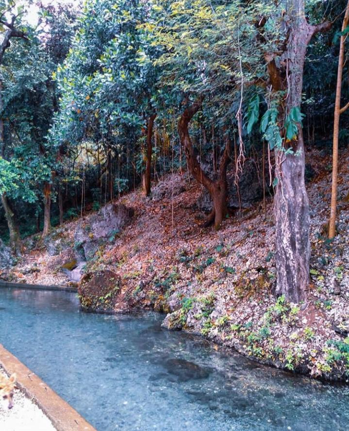 misshaziel_'s tweet photo. Look how clear the water is. It's a spring in one of ky catchment barangay. Community nursing is love. 💚
#community #nursingnow #communitynurse #communityspirit #SpringMeansBeginnings #springwaters #coolspring #naturelovers #NaturePhotography #naturesbeauty
10/11 https://t.co/LENBpDmeE9