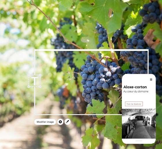 4️⃣  [#Coronavirus] : Collectif21 - une aide aux vignerons pour communiquer

✳️ snip.ly/qhlw27
#WineMorning 🍷⚡

🔗 <a href="/AveineFR/">Aveine</a> #winelover #wine #winetasting #vin <a href="/beauxvins/">Beaux-Vins</a> #BeauxVins #Collectif21 #Aveine #vigne #vignoble