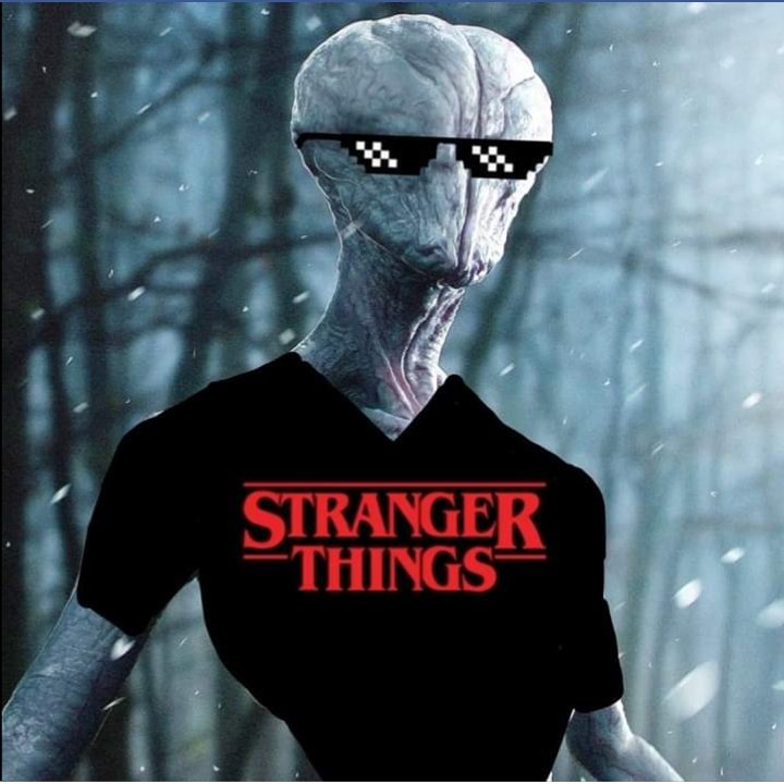 flares_redstar's tweet photo. "O ano não pode piorar"

Junho: demogorgon vendo a nasa abrindo o portal pro mundo invertido

Stranger Things https://t.co/O9JB1c38vo