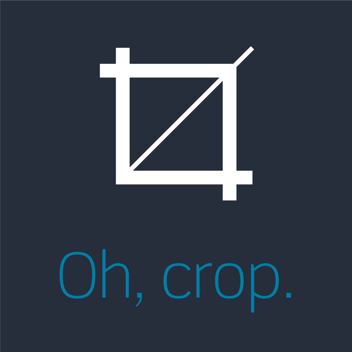 HooliDesign tweet picture