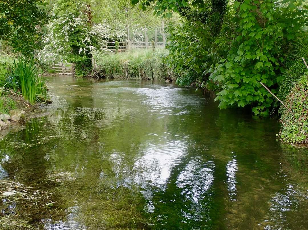 Pickering Fishery Association tweet media