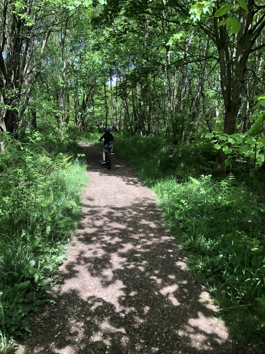 GBTSpring tweet media