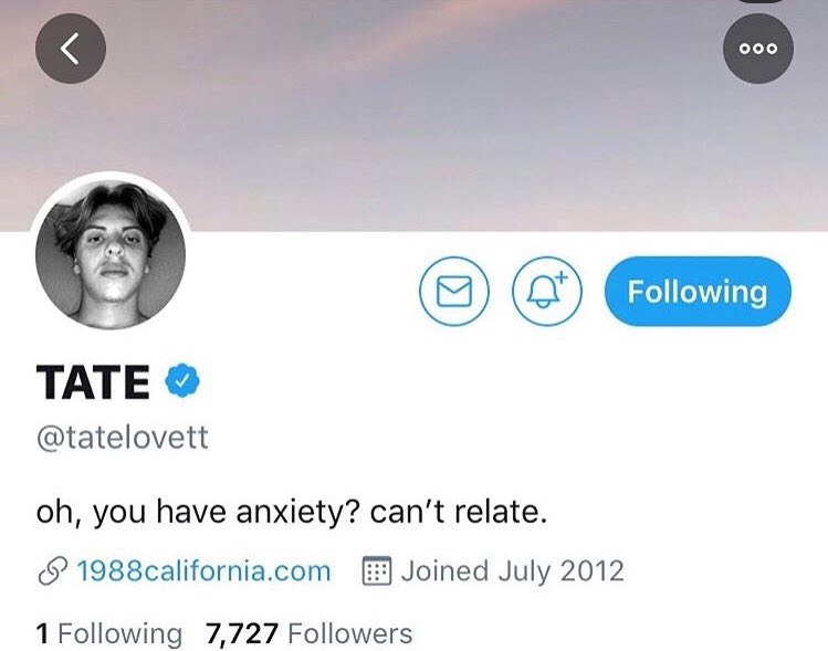 tatelovett's tweet photo. Twitter has been suspended, permanently by @TwitterSupport. Don’t know why, either. https://t.co/KnzdlOU5TW