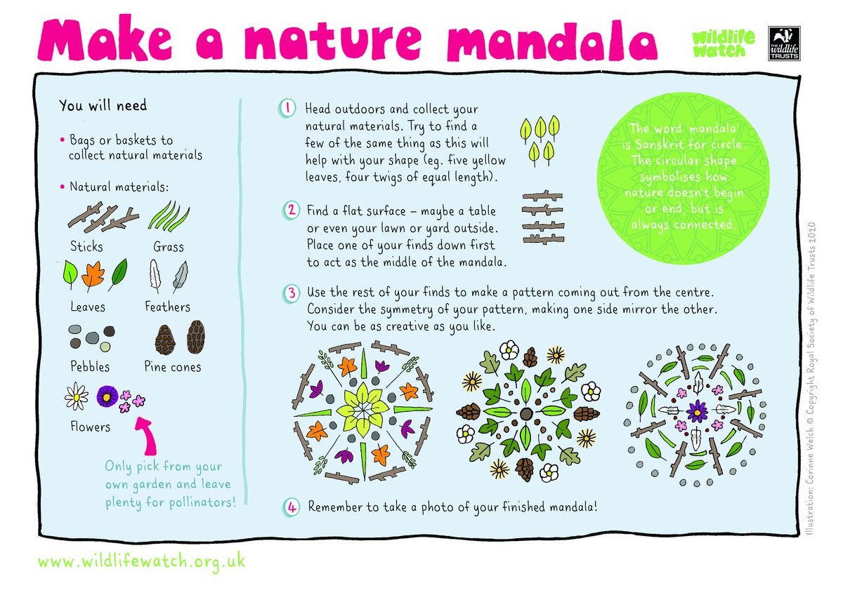 🌿💮🌸🏵️ Happy #OutdoorClassroomDay! Why not create a nature mandala today to mark this important global event? Post your children's artwork creations below! <a href="/WildlifeTrusts/">The Wildlife Trusts</a> 🌼🏵️🌸💮🌿