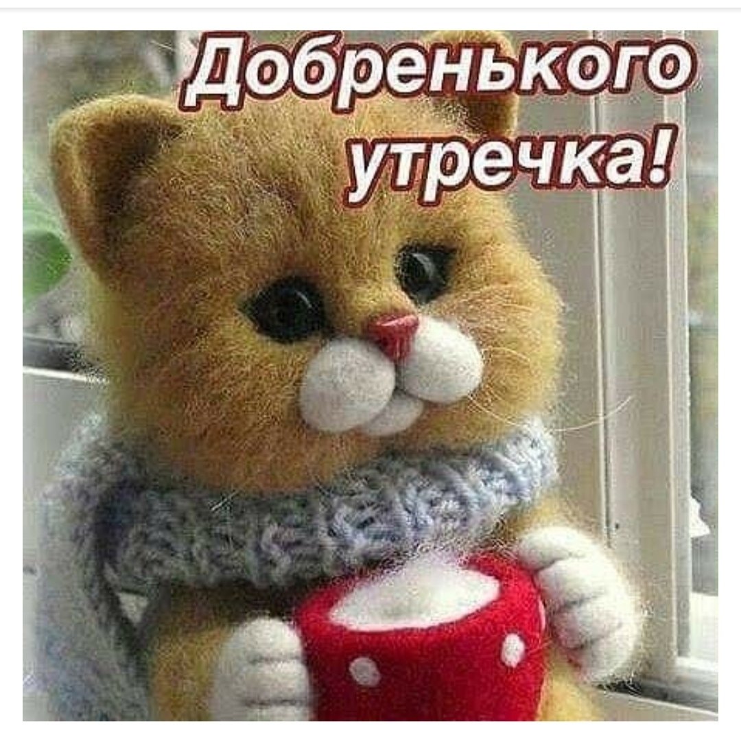 Мягкие игрушки с добрым утром